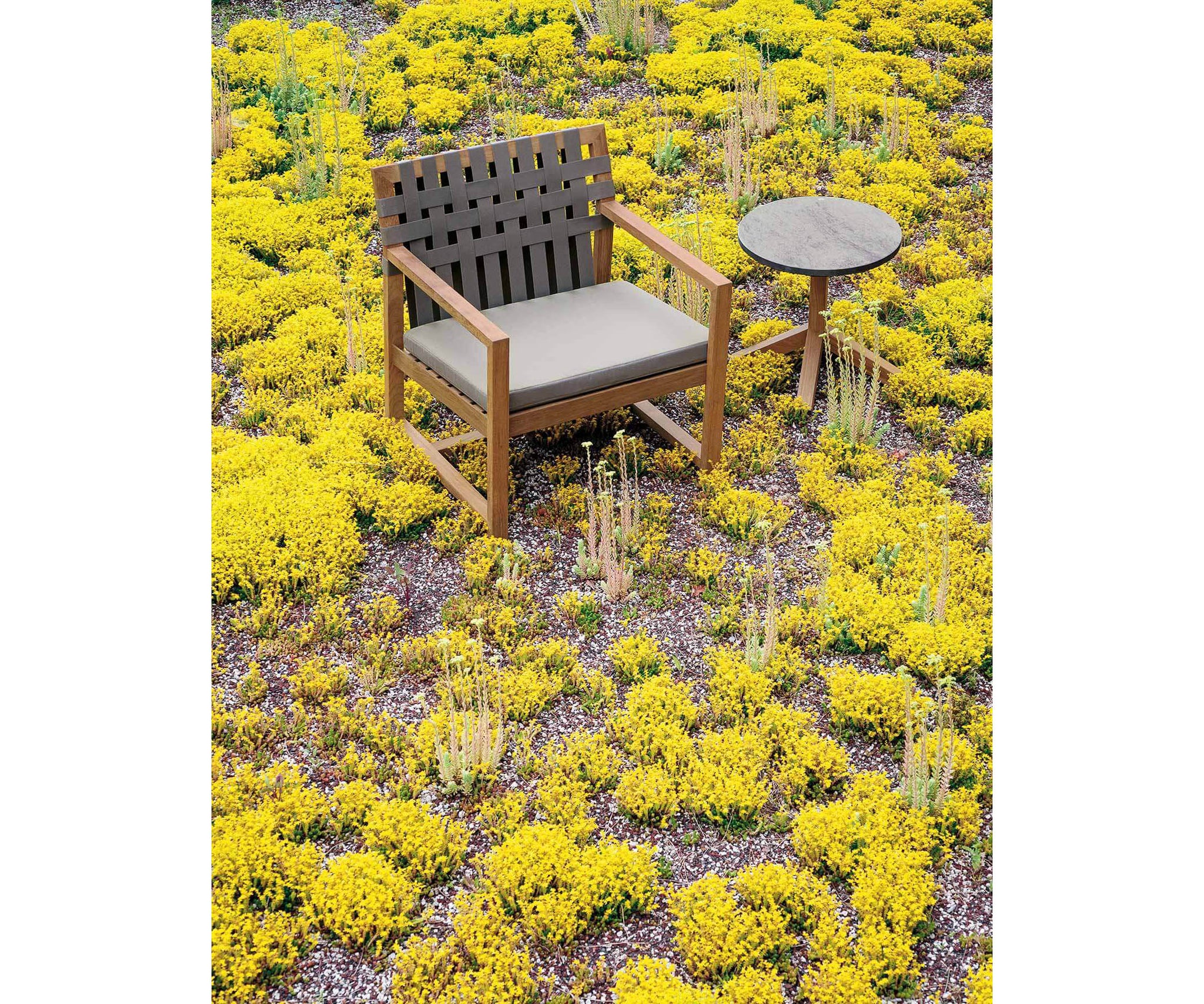 Network Chair By Roda Network 168 Lounge Chair by Roda is Elegant Outdoor Lounge with Teak ...