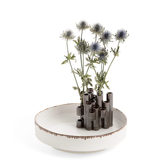 OASI TRAY