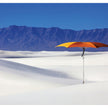 Modern Tuuci Ocean Master M1 Crescent Umbrella, polished rib details and elegant canopy – Casa Design Group