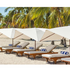 High-end Tuuci Ocean Master M1 Polynesian outdoor parasol Casa Design Group