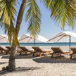 High-end Tuuci Ocean Master M1 Polynesian outdoor parasol Casa Design Group
