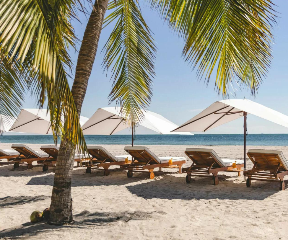 High-end Tuuci Ocean Master M1 Polynesian outdoor parasol Casa Design Group