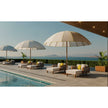 Modern outdoor Bolero parasol by Tuuci featuring curved ribs and titanium mast – Casa Design Group