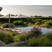 Durable marine-grade cantilever parasol by Tuuci – Casa Design Group