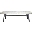 High End Old Ford Dining Table by Molteni&C Casa Design Group