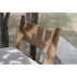 Modern Panama Outdoor Bar Stool with Cylindrical Frame Casa Design Group