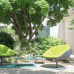 Paola Lenti