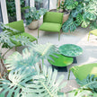 Paola Lenti