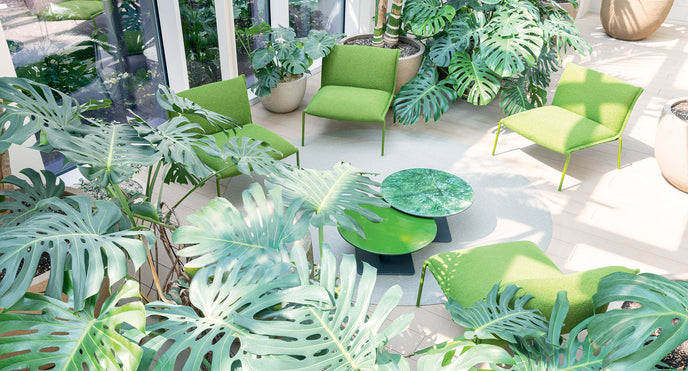 Paola Lenti