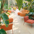 Paola Lenti