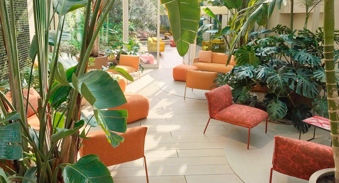 Paola Lenti