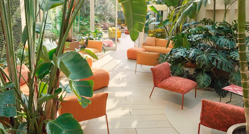 Paola Lenti