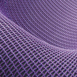Paola Lenti