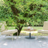 Paola Lenti