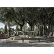 High End Phoenix Coffee Table by Molteni&C Casa Design Group