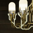 High End Plant Chandelier by Moooi Casa Design Group