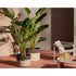 Contemporary Podor Outdoor Baskets by Cassina with vibrant woven design – Casa Design Group