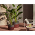 Contemporary Podor Outdoor Baskets by Cassina with vibrant woven design – Casa Design Group