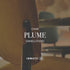 Plume Chair