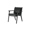 Luxury Ren Dining Chair by Stellar Works with walnut wood and leather upholstery – Casa Design Group