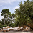 Roots sculptural solid teak side table by Tribù Studio | Casa Design Group