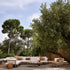 Roots sculptural solid teak side table by Tribù Studio | Casa Design Group