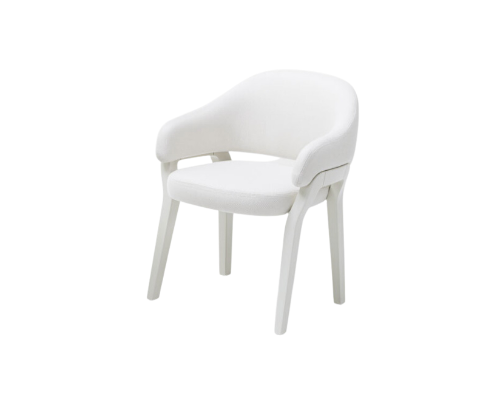 Luxury Sabrina Outdoor Dining Chair by Paola Lenti  for Ultimate Comfort Casa Design Group