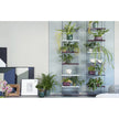 Modern Sospesa Bookshelves by Paola Lenti Shelving with Adjustable Wood Shelves Casa Design Group