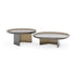 Standard Coffee Table with irregular curved bronze glass top and sculptural concave glass base by Cattelan Italia | Casa Design Group
