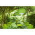 Contemporary Taiki Outdoor Suspension Lamp by Paola Lenti Perfect for Outdoor Spaces Casa Design Group
