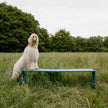 The Bench Minimal Outdoor Bench by Wünder | Casa Design Group