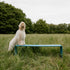 The Bench Minimal Outdoor Bench by Wünder | Casa Design Group