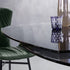 High End Titan Extendable Dining Table by Draenert Casa Design Group