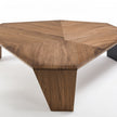 High End Tortuga Coffee Table by Porada Casa Design Group