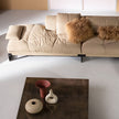 Y25 Coffee Table by Pietro Russo for Baxter | Casa Design Group