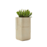 Aarde Planter Collection Indigenus