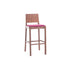 High end Lyon Upholstered Barstool by Ton Casa Design