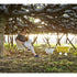 High end Aram Low Stool by Gandia Blasco Casa Design