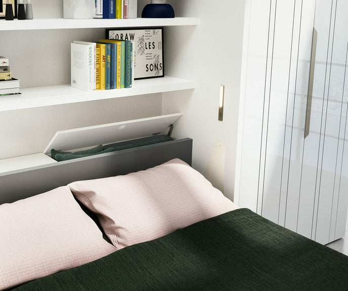 Penelope 2 Sofa and Wall Bed Clei