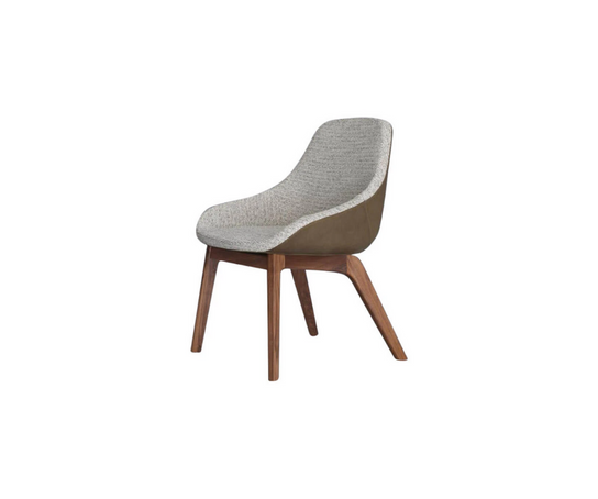 Morph Dining Chair