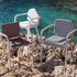 Sutra Dining Armchair I Ego Paris