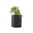Aarde Planter Collection Indigenus