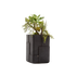 Aarde Planter Collection Indigenus