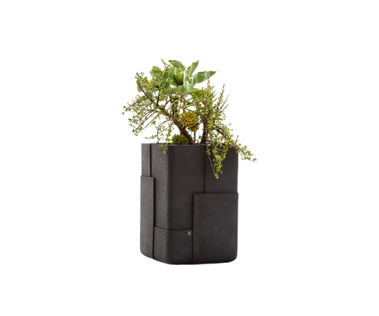 Aarde Planter Collection Indigenus