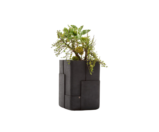 Aarde Planter Collection Indigenus