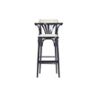 High end No. 135 Upholstered Barstool by Ton Casa Design