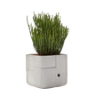 Aarde Planter Collection Indigenus