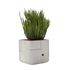 Aarde Planter Collection Indigenus