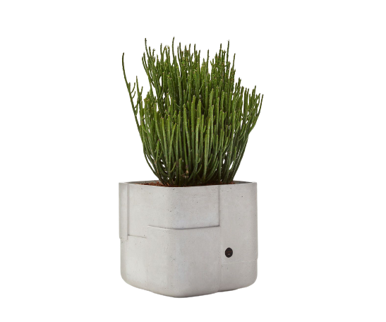 Aarde Planter Collection Indigenus