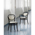 High end No. 20 Dining Chair by Ton Casa Design